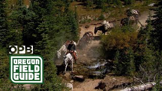 Wallowa Mountains mule packer [upl. by Lello332]