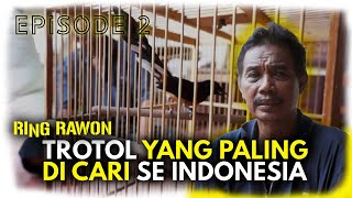 THE LEGEND BONGKAR CARA CETAK INDUKAN TRAH MOBIL ALA RAWON BIRD FARM [upl. by Sreip665]