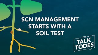 SCN management starts with a soil test [upl. by Dalia]