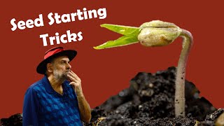 10 Seed Starting Tricks I Used to germinate 2000 Different Plants [upl. by Bastien]