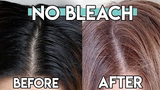 DIY At Home HAIR DYE I Used a BOX DYE to go from DARK To LIGHT  NO BLEACH METHOD [upl. by Marie-Ann768]