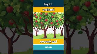 🇬🇧🇸🇰 orchard  ovocný sad  vocabulary builder  learn English  naučme sa anglicky [upl. by Daenis]