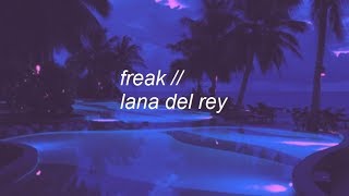 freak  lana del rey lyrics [upl. by Rimaa956]