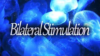 1 HR Bilateral Stimulation Music Therapy 🎧 Mental Health for Anxiety Stress PTSD Peace  ASMR [upl. by Electra]