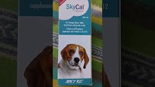 skycal Calcium Syrup  Calcium syrup for dog bone  skycal calcium for dog  Best Calcium for dog [upl. by Susann111]