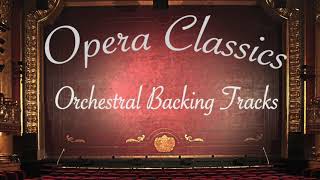 Una Furtiva Lagrima  Orchestral Backing Track  Opera Karaoke [upl. by Nuahsal]