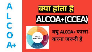 ALCOACCEA in detail । Metadata kya hai । Raw data kya hai ।Data integrity । In hindi [upl. by Proudman]