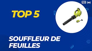 Top 5 Meilleure Souffleur de Feuilles 2024 [upl. by Notniv]