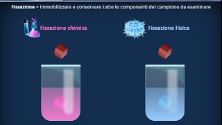 Istologia 01  Nozioni di microscopia e preparazione dei campioni [upl. by Alejo]