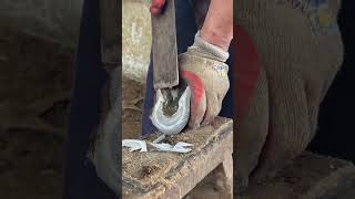 Great hoof trimming video extremely comfortable丨ASMR丨Donkey hoof cutting sound [upl. by Yevol234]