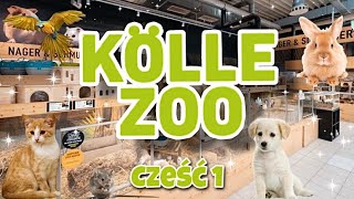 Kölle Zoo MEGA duży sklep zoologiczny w Niemczech  Część 1 [upl. by Edyth]