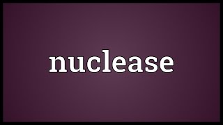 Nuclease Meaning [upl. by Fatima]