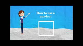 How to use a quadrat [upl. by Ymled]