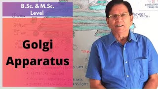 Golgi Apparatus  BSc amp MSc Level Biology [upl. by Rases]