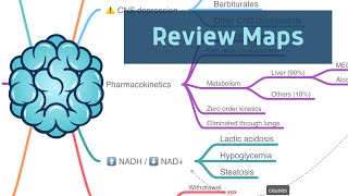 Alcohol Pharmacology  rapid review with Review Maps for USMLE [upl. by Acsisnarf757]