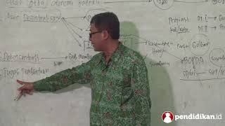 Kelas 9  PPKn  Asas Otonomi Daerah  Video Pendidikan Indonesia [upl. by Anassor]