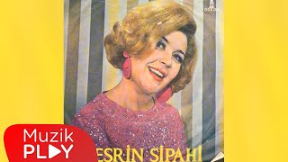 Gizli Aşk  Nesrin Sipahi Official Audio [upl. by Ayatnohs251]