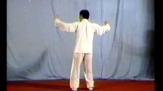 Taiji  Chen Style [upl. by Salb]