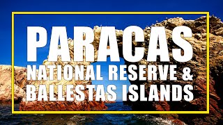 Exploring Paracas National Park and the Ballestas Islands in Peru [upl. by Caundra]