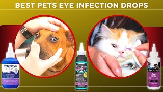 Best Pets Eye Infection Drops For Dogs amp Cats Relieve Eye Allergies [upl. by Elizabeth]