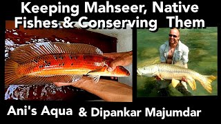 KEEPING MAHSEER FISH  NATIVE FISHES  CONSERVATON OF NATIVES [upl. by Porche]