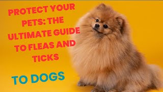 Protect Your Pets The Ultimate Guide to Fleas and Ticks [upl. by Eittik373]