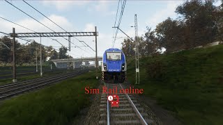 Sim Rail online  07112024 [upl. by Agosto]