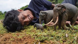 സ്വതന്ത്രമായ ആനകൾ😍  The wild elephants family 🐘 [upl. by Ciel583]