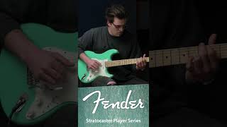 Fender Stratocaster Player Series Demo shorts [upl. by Eenaj]