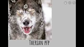 Therian pfp  part 1 therian  wolf [upl. by Teiv]