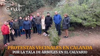 PROTESTAS vecinales en CALANDA por tala de árboles [upl. by Aicelav867]