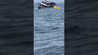 Boat sinks viralvideo unbelievable shorts [upl. by Ishmael869]