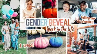 A Week in My Life GENDER REVEAL 20 week ultrasound  telling our families  Mennonite Mom Life [upl. by Atsiuqal772]