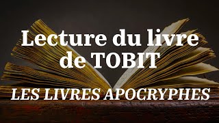 TOBIT Bible en Français Courant  Apocryphes [upl. by Eleumas]