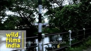 Auto ride in Alappuzha Kerala [upl. by Socher]