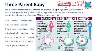 What is 3 Parent Baby   Three Parent IVF అంటే ఏమిటి  La Excellence [upl. by Wilburt137]