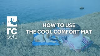 How To Use The RC Pets Cool Comfort Mat [upl. by Artimed195]