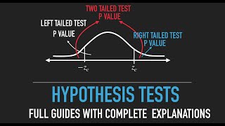 Hypothesis Testing The General Concept [upl. by Rosse]