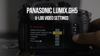 Panasonic GH5 Video Settings for Music Videos [upl. by Waverley183]