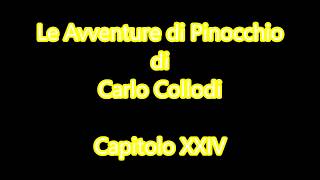 Audiolibro C Collodi Le Avventure di Pinocchio  Capitolo XXIV [upl. by Nylidnam]