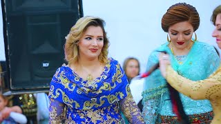 Best kurdish wedding dance by farshad nikraftar 2024 Xoshtrin zamawand 2024 [upl. by Anaihs]