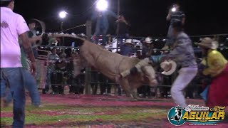 ADRENALINA EN EL RUEDO RANCHO SANTA GENOVEVA EN PUEBLO HIDALGO VS LOS GROS SALVAJES [upl. by Idell]