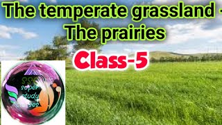 Temperate grasslandsthe prairiesch6class5Sst Geography [upl. by Freiman]