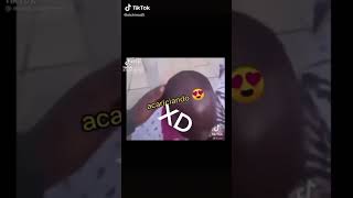 Acariciando tu pelo lacio😂😂memes [upl. by Kcirdaed]