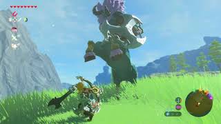 Blue Lynel  Lodrum Headland  Zelda Breath of the Wild [upl. by Obellia]