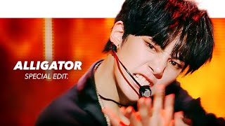 MONSTA X 몬스타엑스  Alligator Stage Mix교차편집 Special Edit [upl. by Delila505]