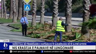 Nis krasitja e palmave në Lungomare  Ndërhyrja në përmirësimin e hapësirave të gjelbëruara [upl. by Rundgren333]