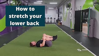 How to stretch your lower back and erector spinae muscles  The MSK Physio [upl. by Ahsiryt563]