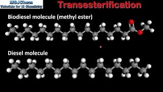 C4 Transesterification SL [upl. by Heddy]