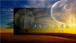 Gashaw Adalየልቤ ሌባYelibe Leba [upl. by Aihsila]